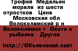Трофей (Медальен морала) из шести отростков › Цена ­ 15 000 - Московская обл., Волоколамский р-н, Волоколамск г. Охота и рыбалка » Другое   